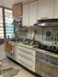The Tanamera (D16), Condominium #618905781